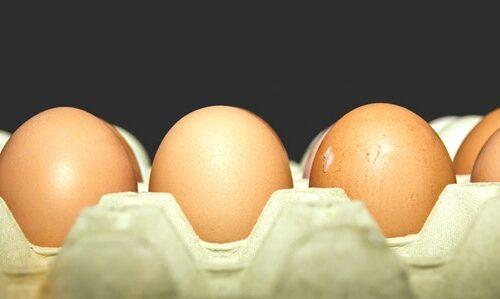 karton jaja