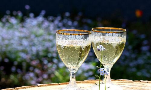 Da li biste probali martini sa maslinovim uljem?