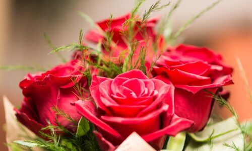 kako čestitati 8. mart