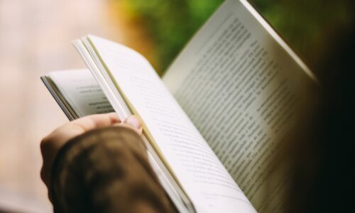 čuvena knjiga, nagrada