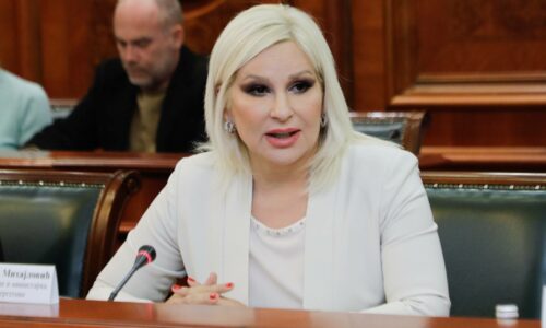 zorana mihajlović