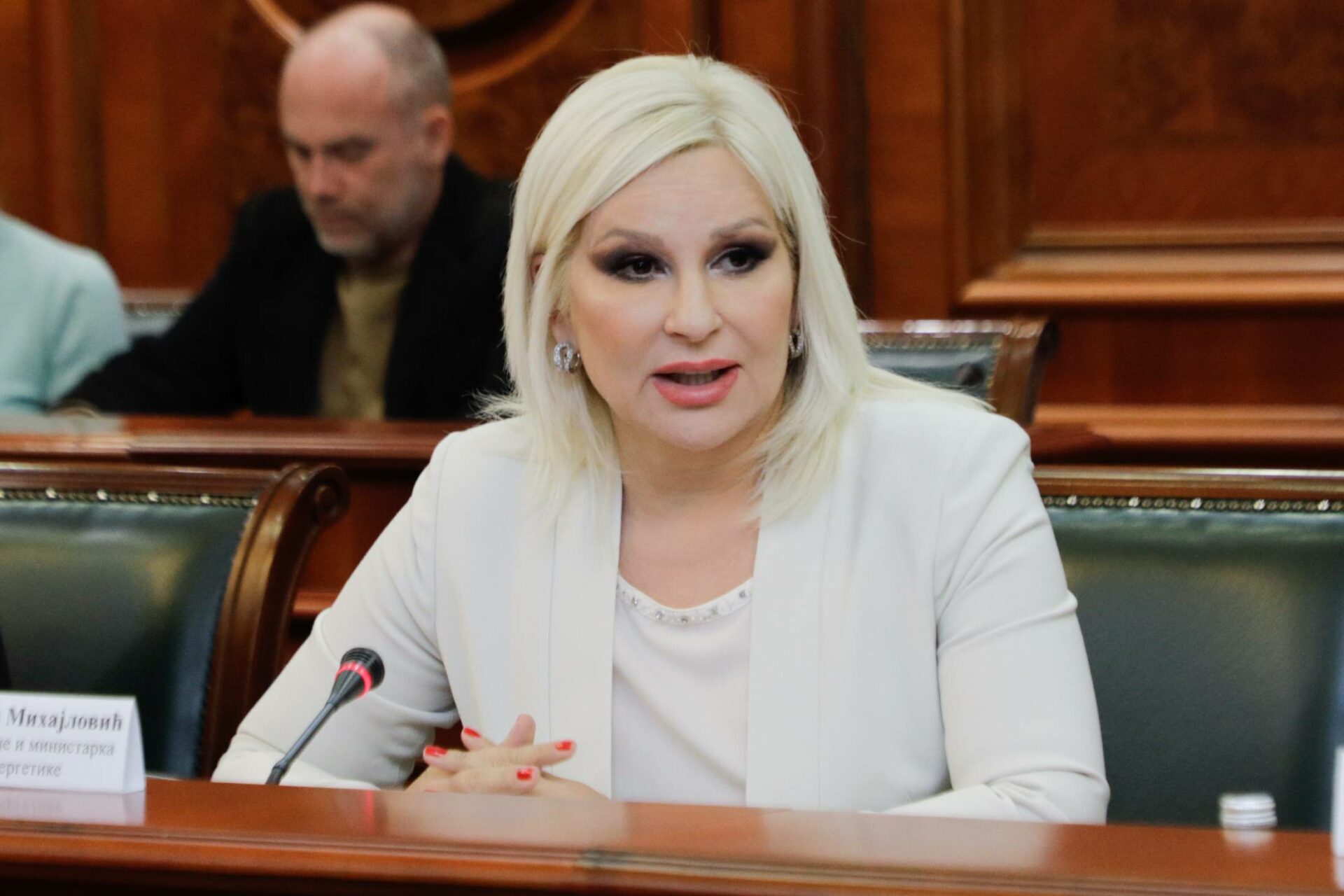 zorana mihajlović