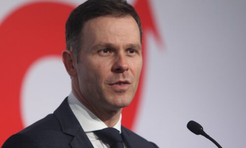 Siniša Mali, priznanje