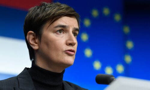 ana brnabić, evropske kompanije