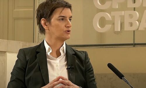 povratnika iz dijaspore