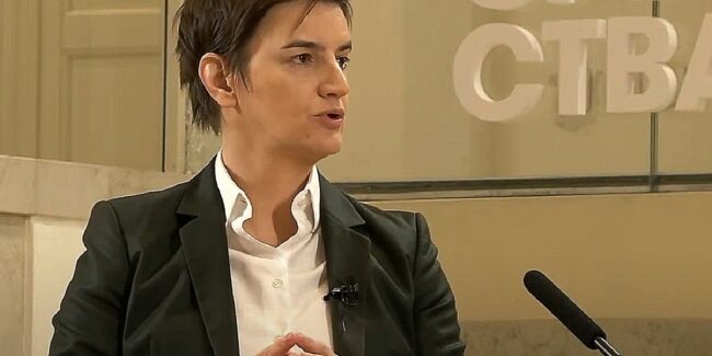 povratnika iz dijaspore