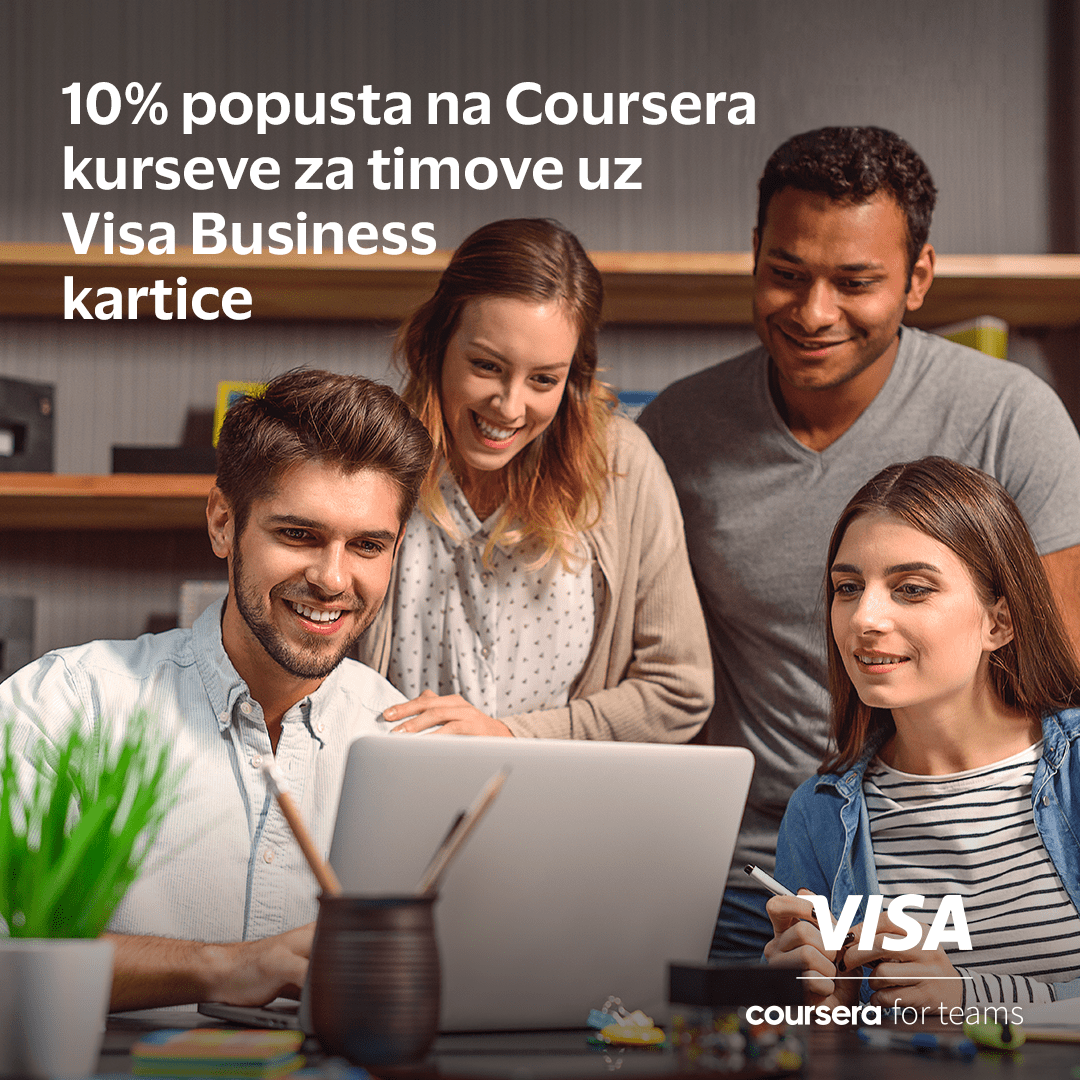 VISA online kursevi 