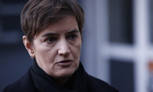 Ana brnabić