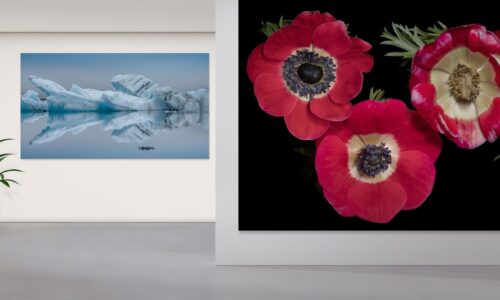 Minimanilastički dizajn enterijera LG i Blackdove