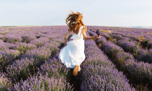 apb -proizvodi od organske lavande