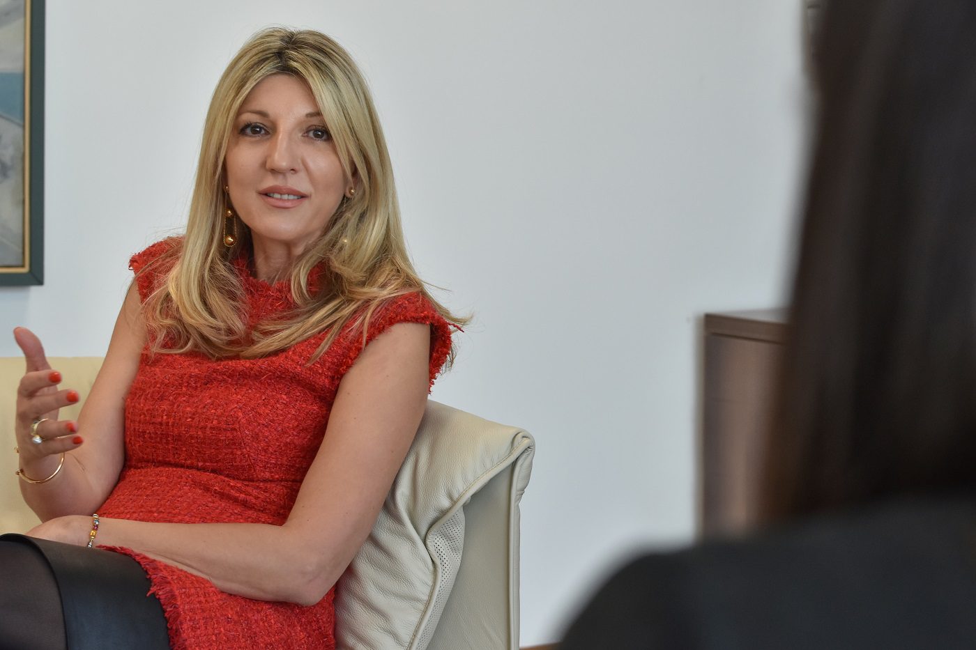 Milka Vojovidić,CEO i predsednica Izvršnog odbora kompanije Delta Holding