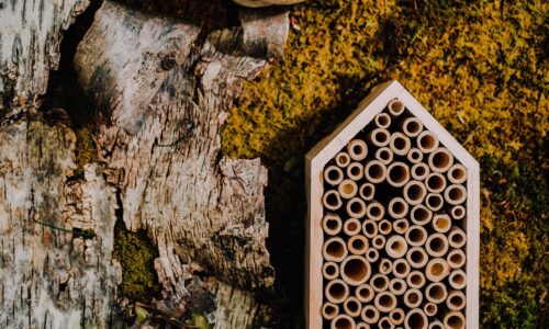 JYSK hoteli za inskete