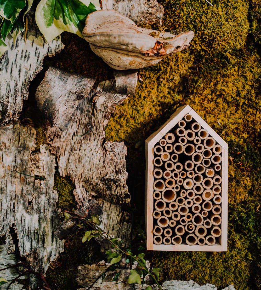 JYSK hoteli za inskete