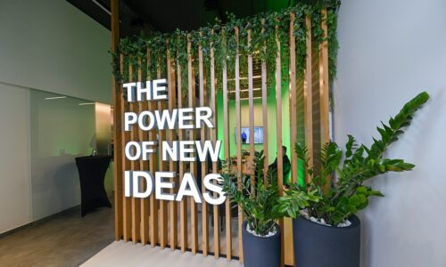 Smart Concept, Novi Sad