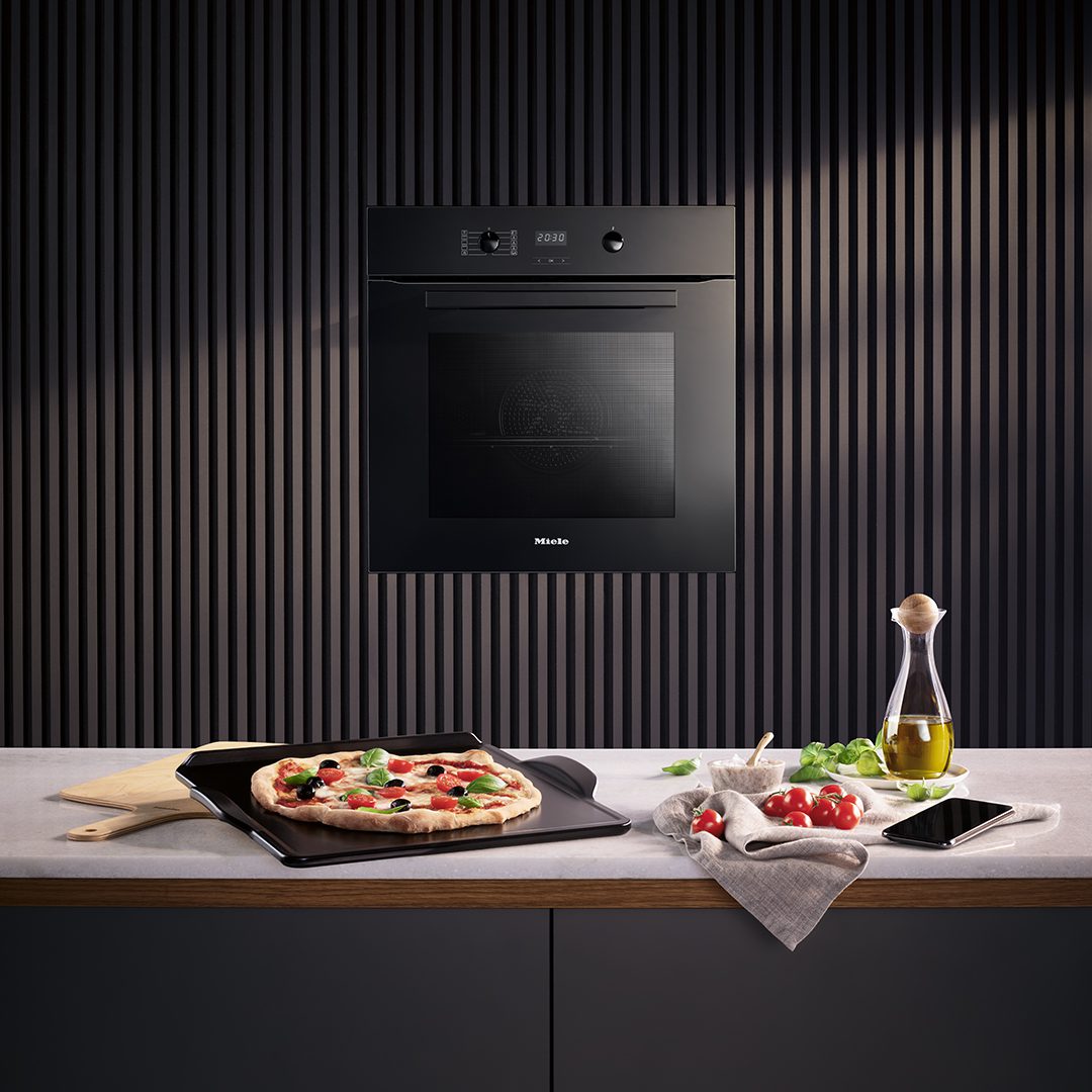 Pica sa kamene ploče