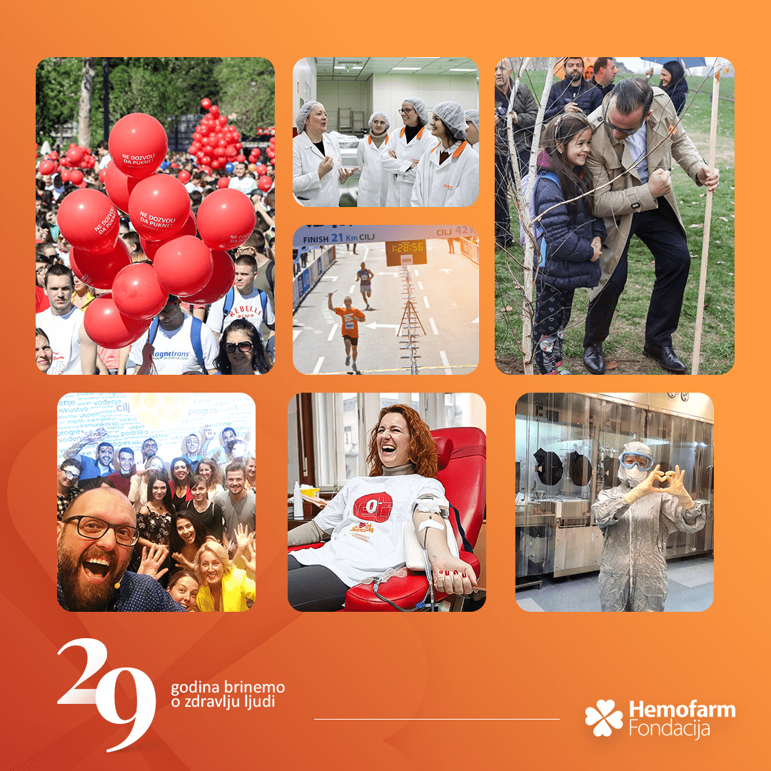 Hemofarm fondacija, vizual