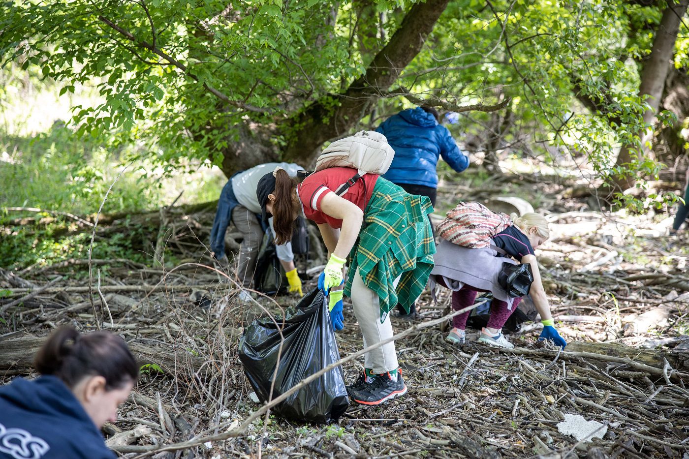 Akcija čišćenja Velikog ratnog ostrva