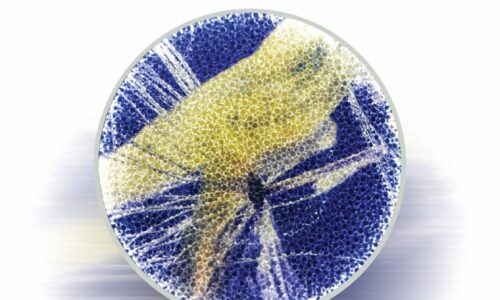 Izložba Norbert Brunner