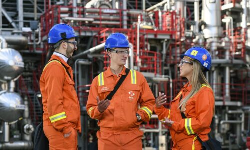 NIS, obrazovanje, znanje