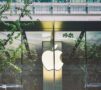 Apple, projekat (Pexels)