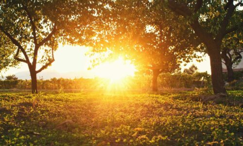 Najduži dan u godini