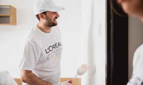 Akcija uređenja doma