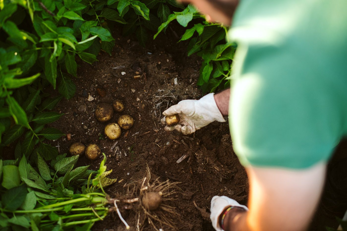 PepsiCo izveštaj o zaštiti životne sredine