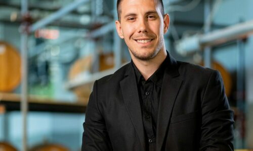 Damjan Stamenković, Meridianbet