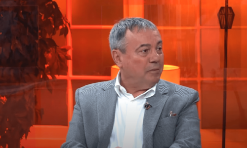 Mića Jovanović, Megatrend