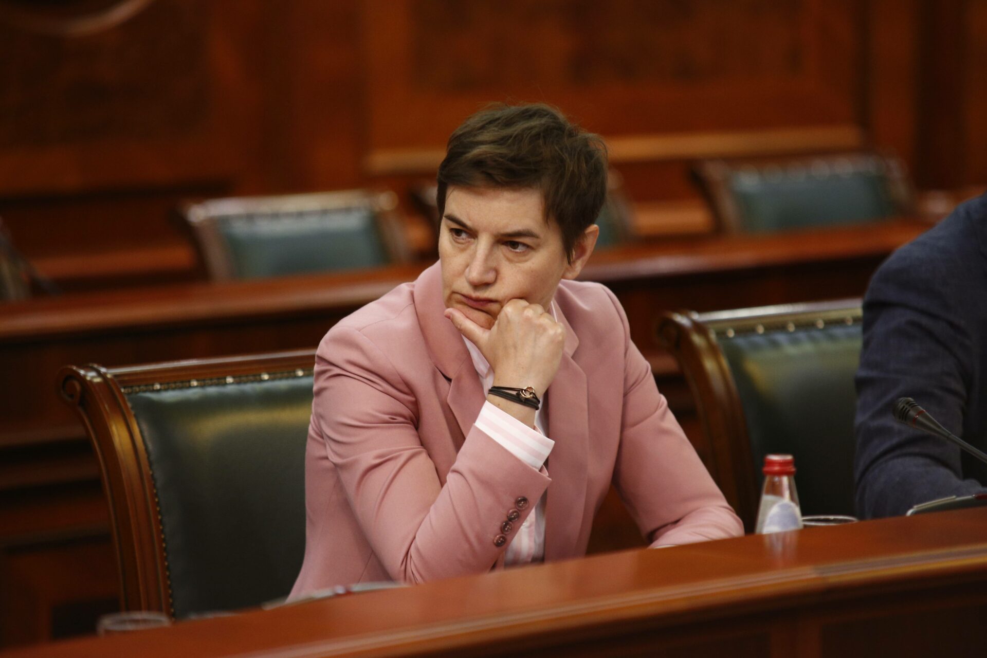 Ana Brnabić, investicije Srbija