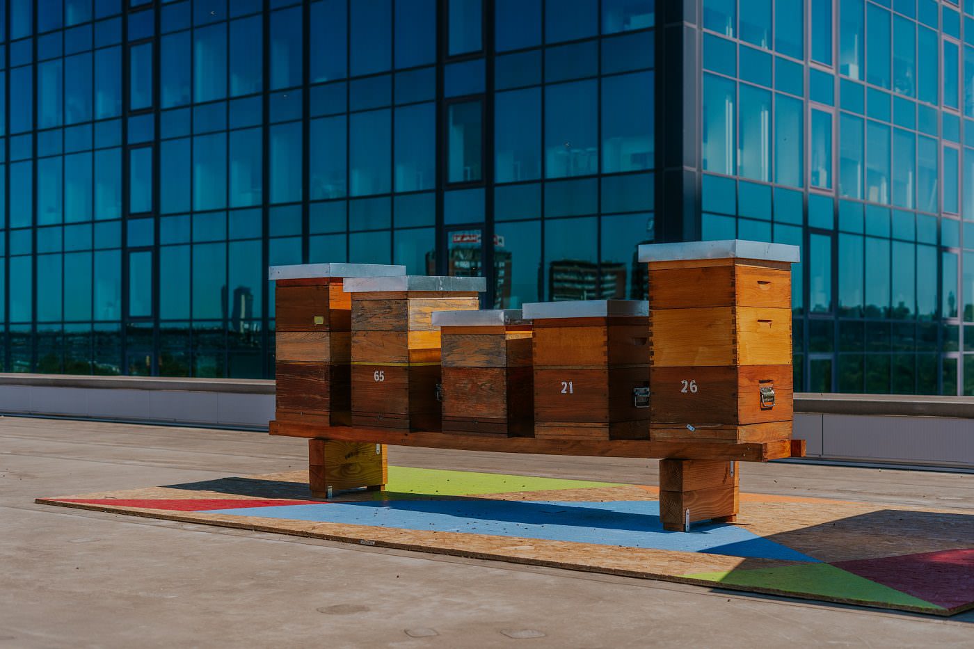 Košnice na krovu Ušća