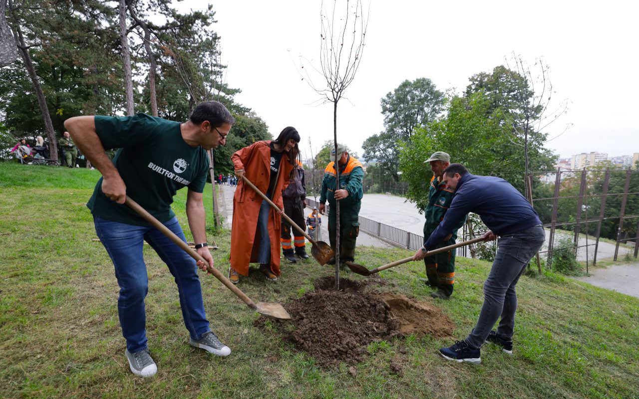 Timberland eko-akcija