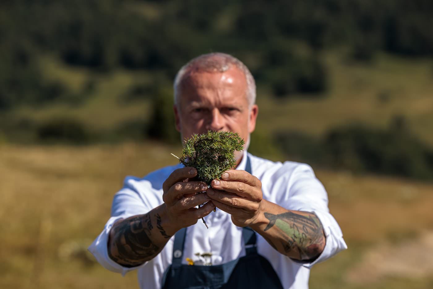 Ajk Zimer, Mišlenov šef