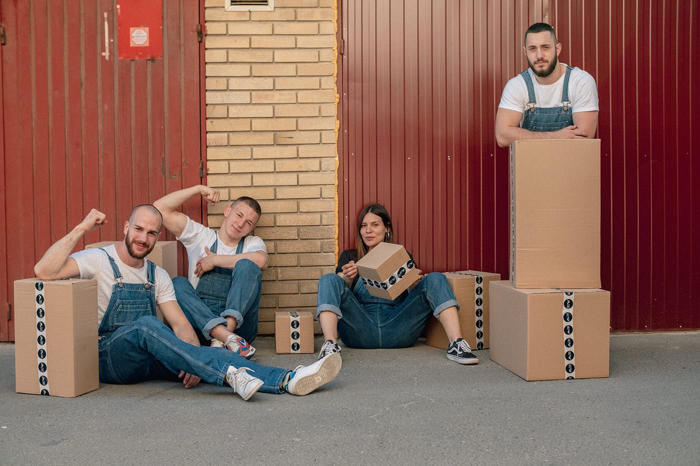 Jaki Momci: Nemanja, Novica i Igor