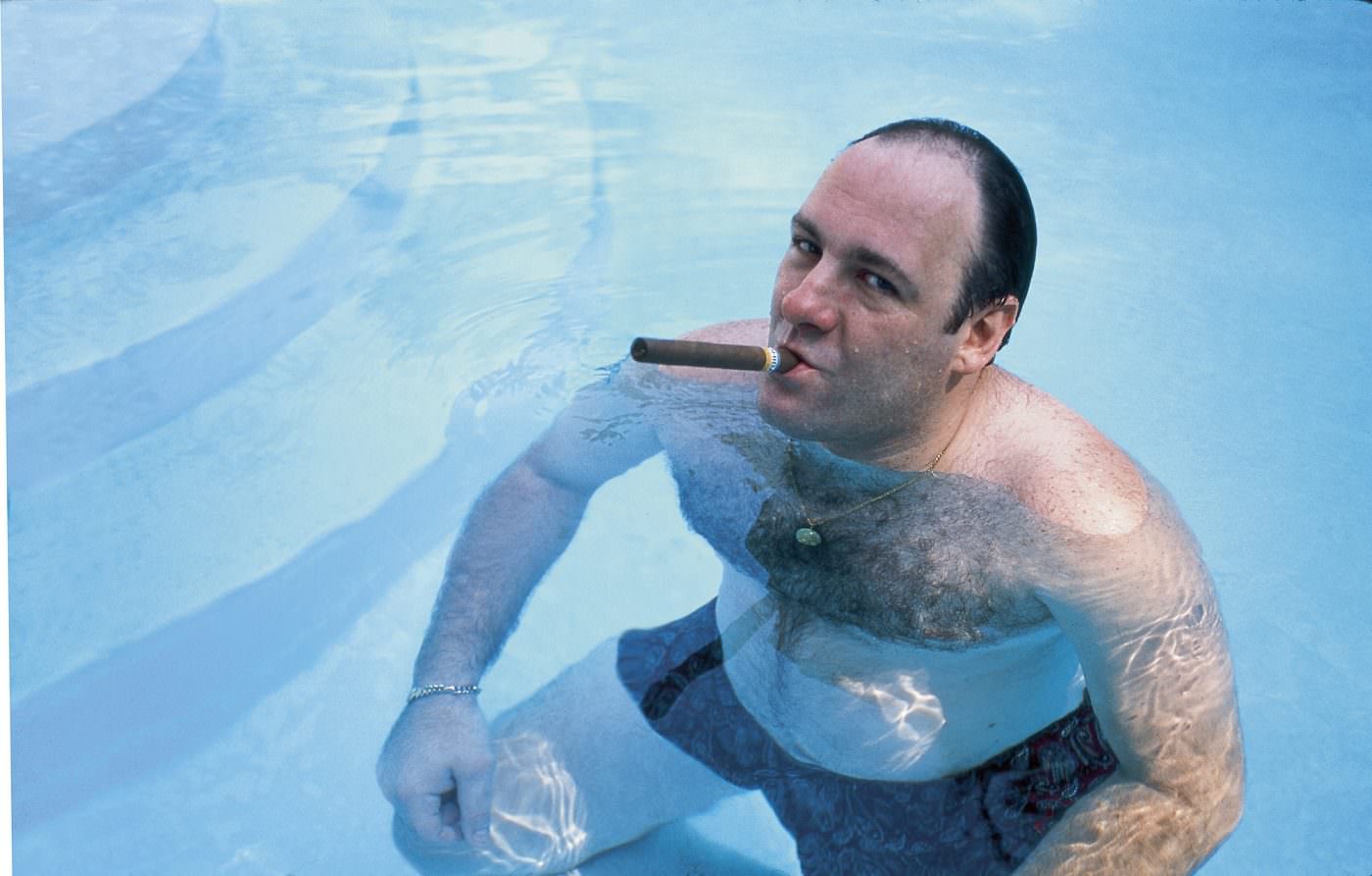 Džejms gandolfini