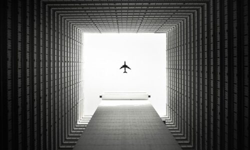 Avion, putnik, gorivo