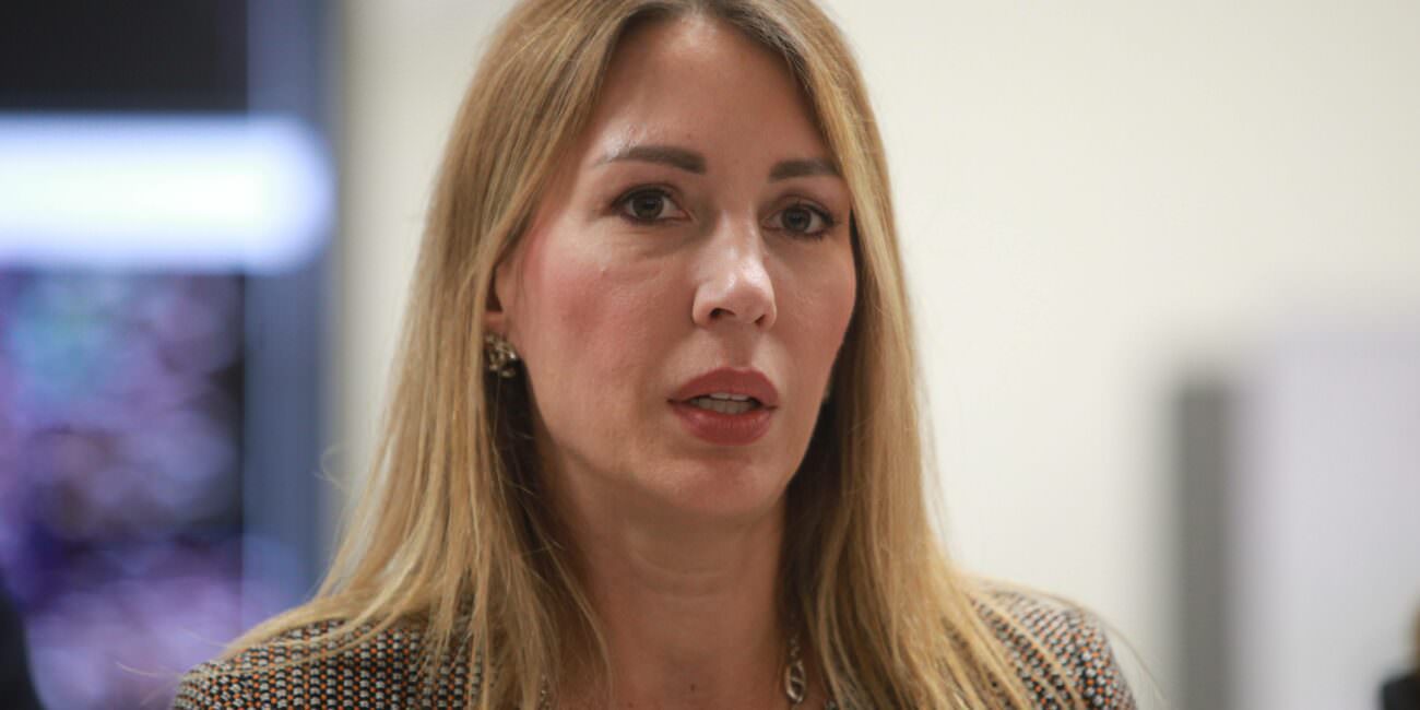 đedović, nuklearni reaktori