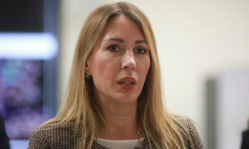 đedović, nuklearni reaktori