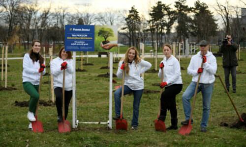 Forma Ideale 50 sadnica za Beograd