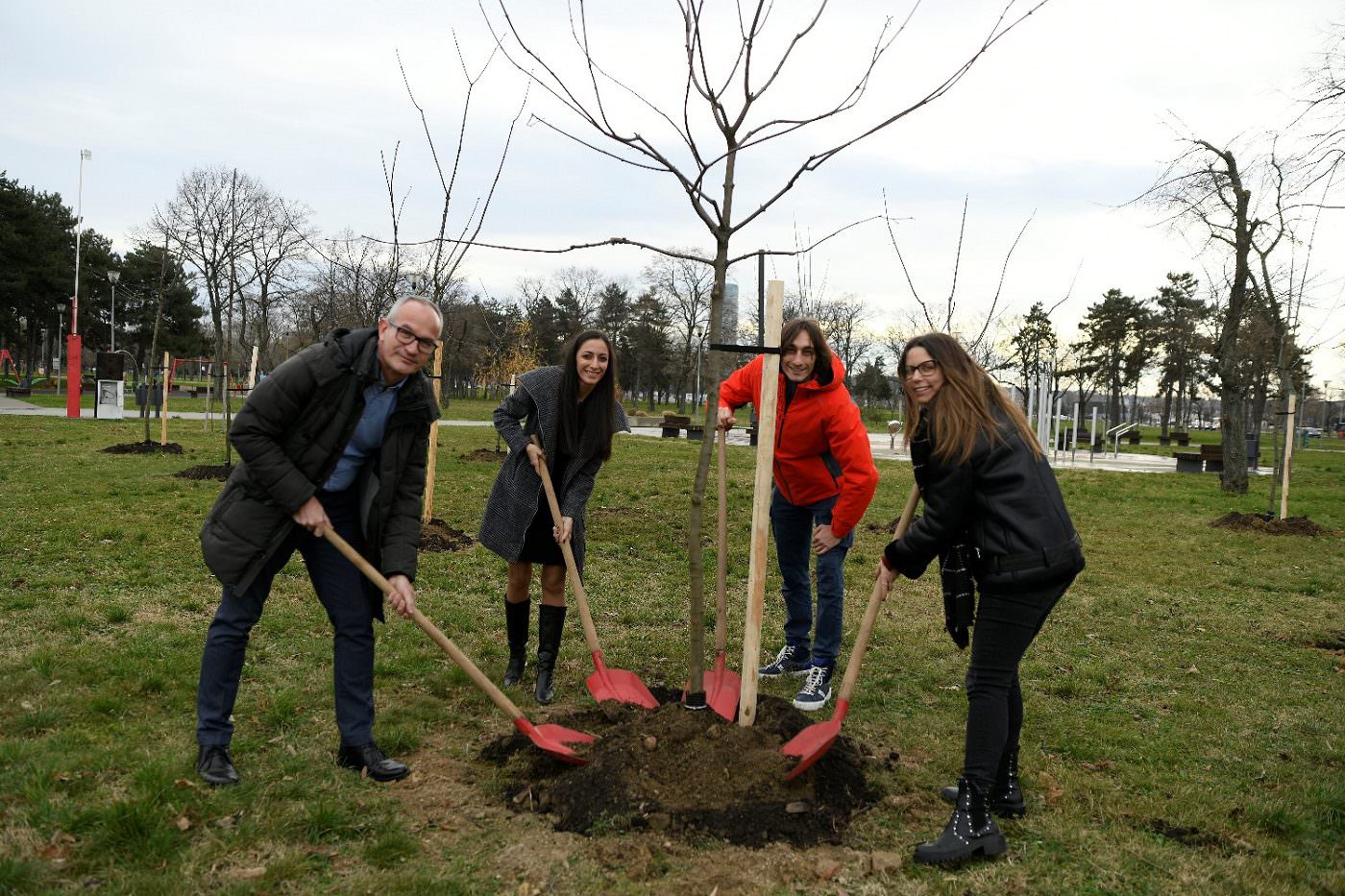 Forma Ideale 50 sadnica kao poklon za zelenije BEograd