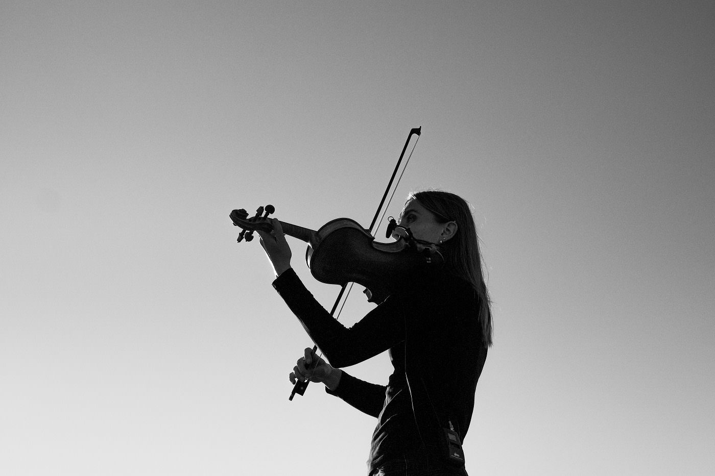 Violine