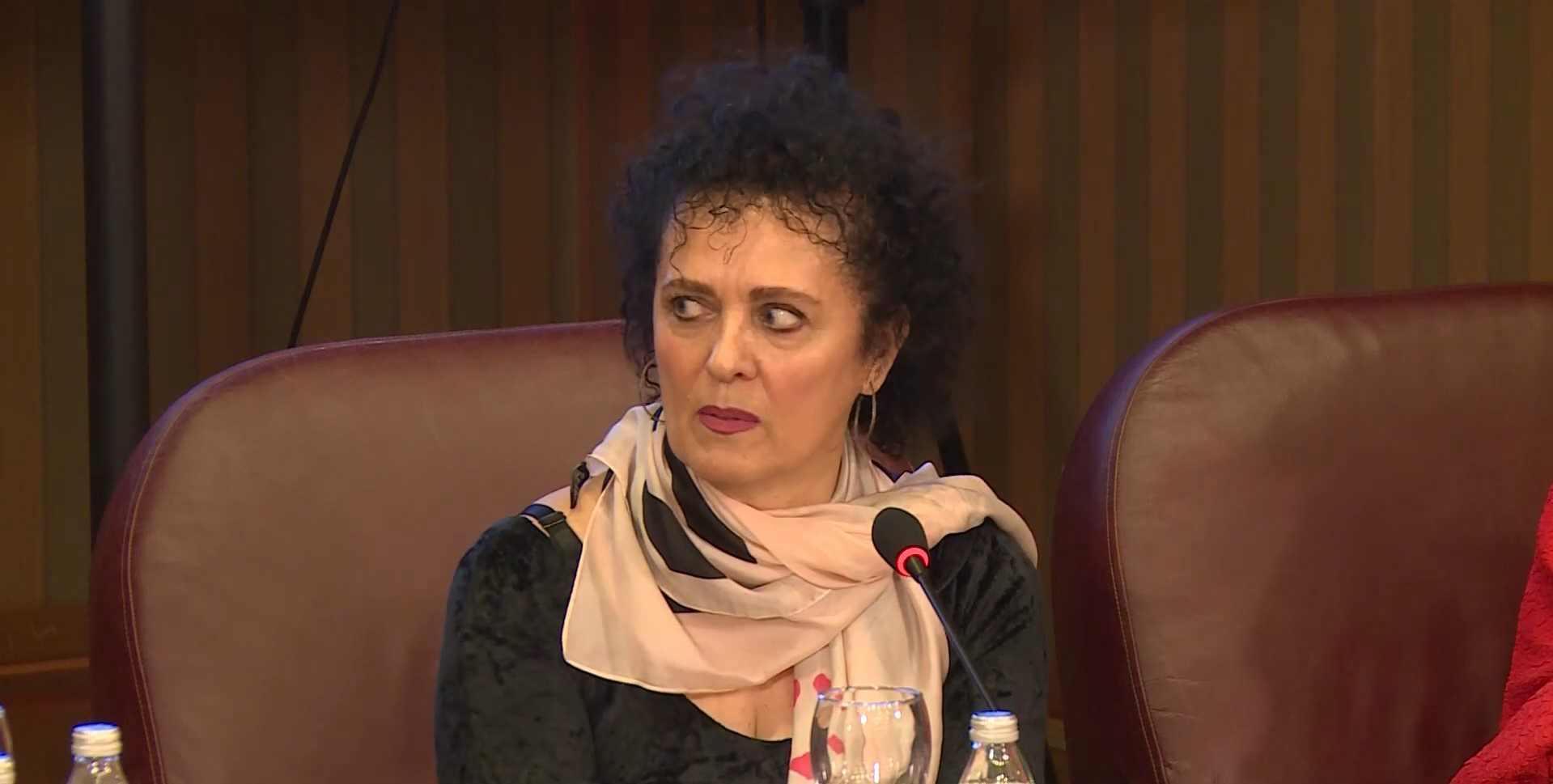 Danica Vukićević (YouTube)