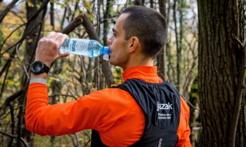 Jovica Spajić Jazak