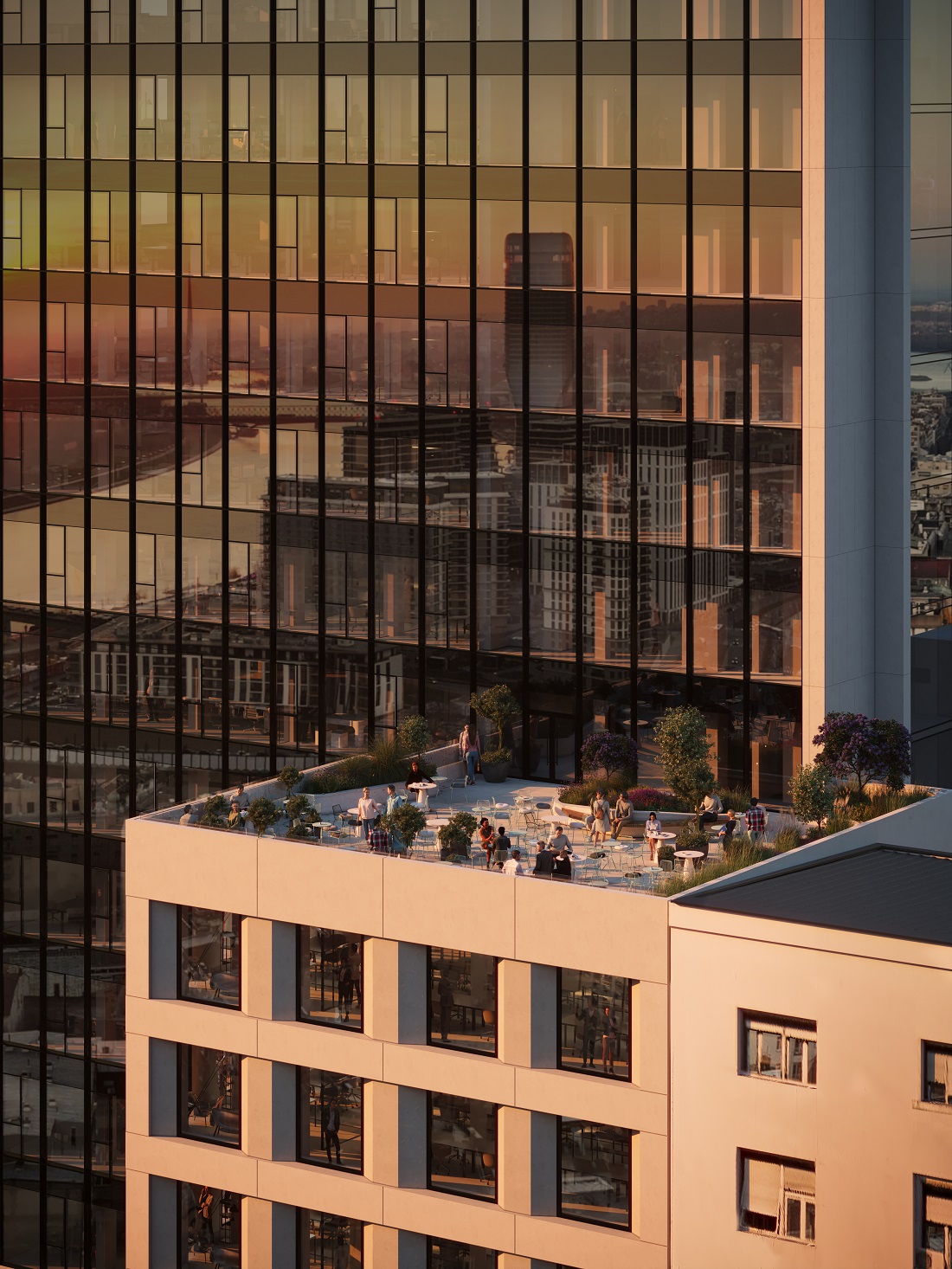 BRANKOV Business Center krovna terasa