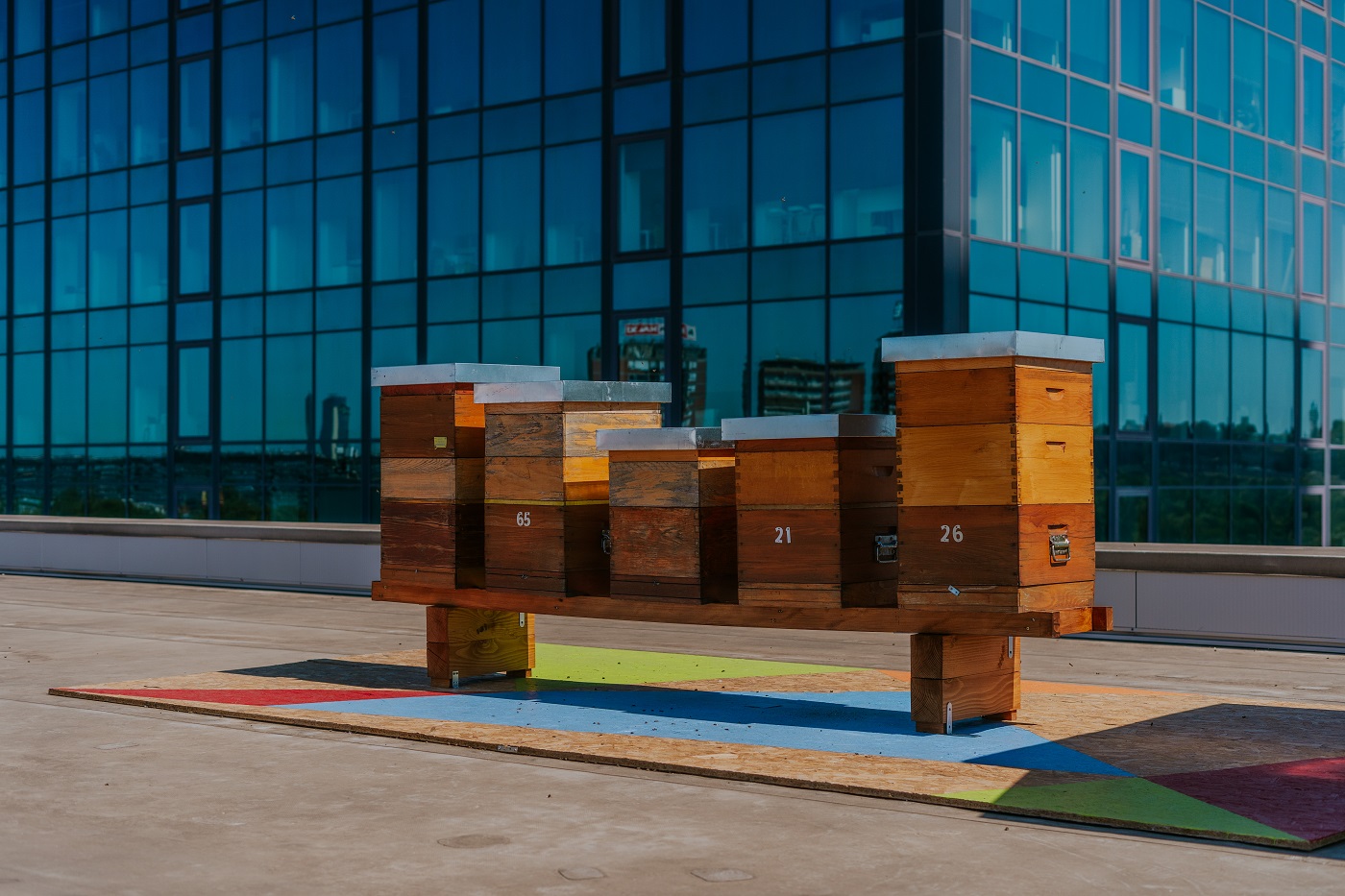 košnice na krovu Ušća