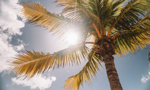 najtoplija godina ikada