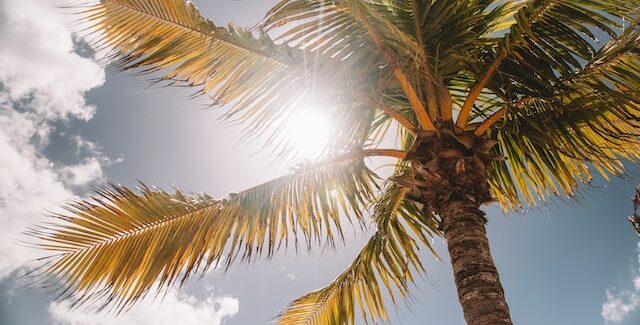 najtoplija godina ikada