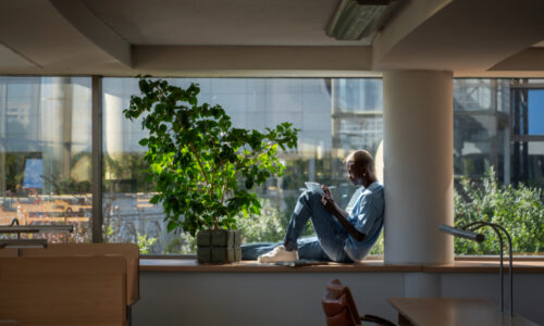 Kancelarija, priroda, posao (Freepik)