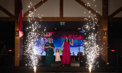 Manifestacija „U susret Vidovdanu“