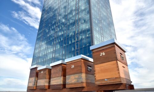 Košnice Ušće, MPC Properties